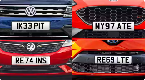 Private Registration Putting Plate Retention
